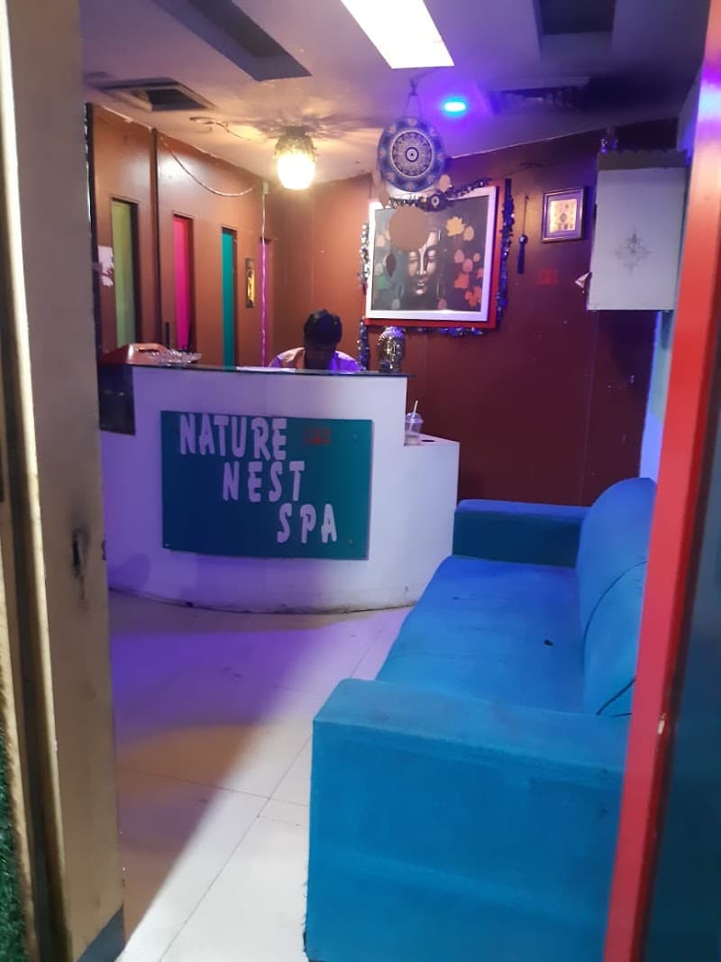 Nature Nest Spa & Wellness Delhi photo