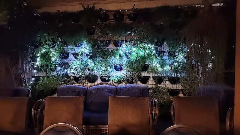 Nature of Being São Paulo photo