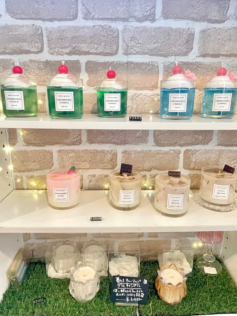 Nature Placenta Specialty Store Kofu photo