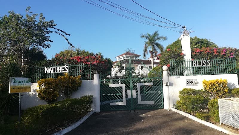 Nature's Bliss Jamaica - Lifestyle Center Montego Bay photo