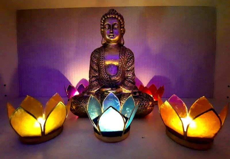 Nature's Path Centro Estetico Naturopatico Andria photo