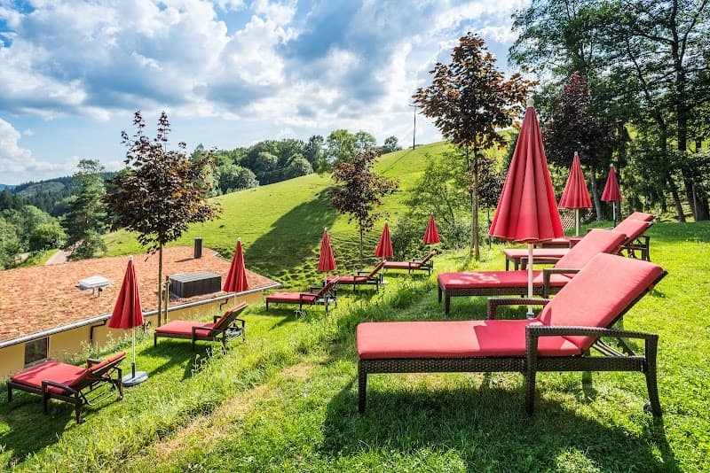 Naturparkhotel Adler St. Roman Black Forest photo