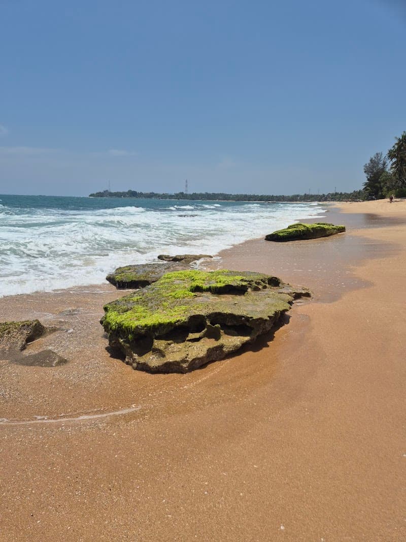 Navajeevana ayurveda spa Hambantota photo