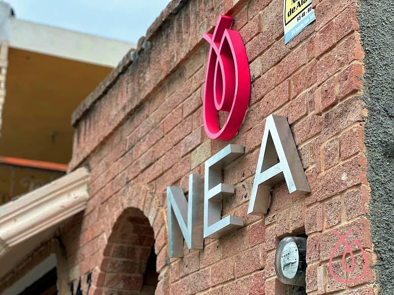 Nea Health & Spa San Nicolás de los Garza photo