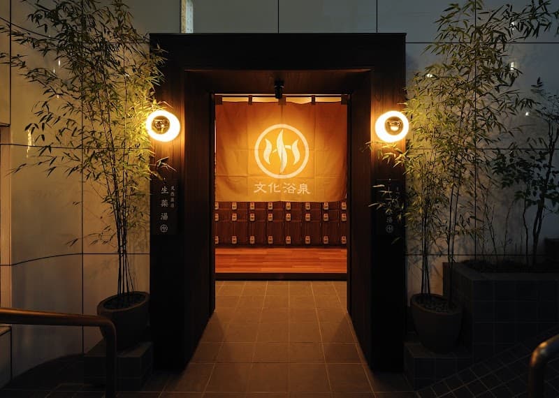 Negishi Yokusen Kawaguchi City photo