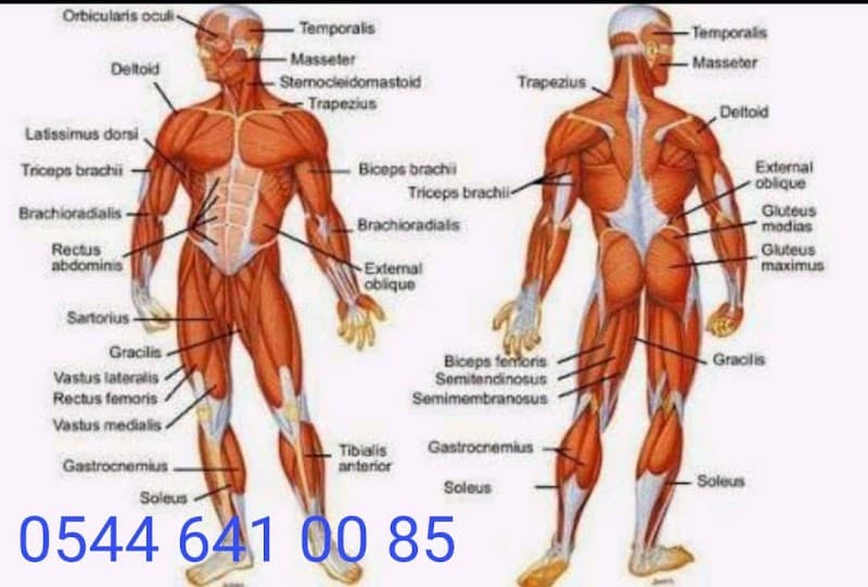Nehir masaj terapi - medikal masaj Karşıyaka photo