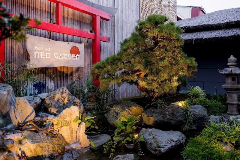 NEO GARDEN ONSEN - Tổ hợp tắm khoáng chuẩn Nhật Huyện Yên Dũng photo