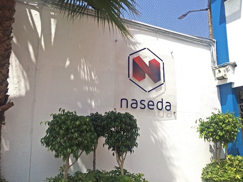 Nesda DS Mexico City photo