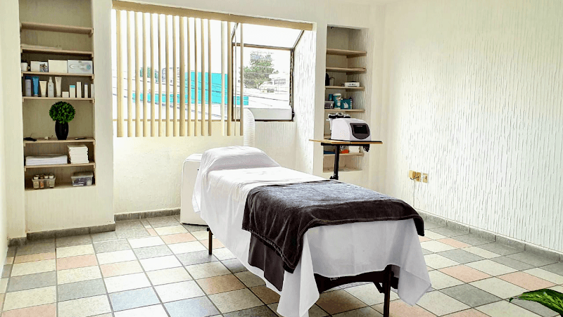 New Body Spa and Aesthetic Center Santiago de Querétaro photo