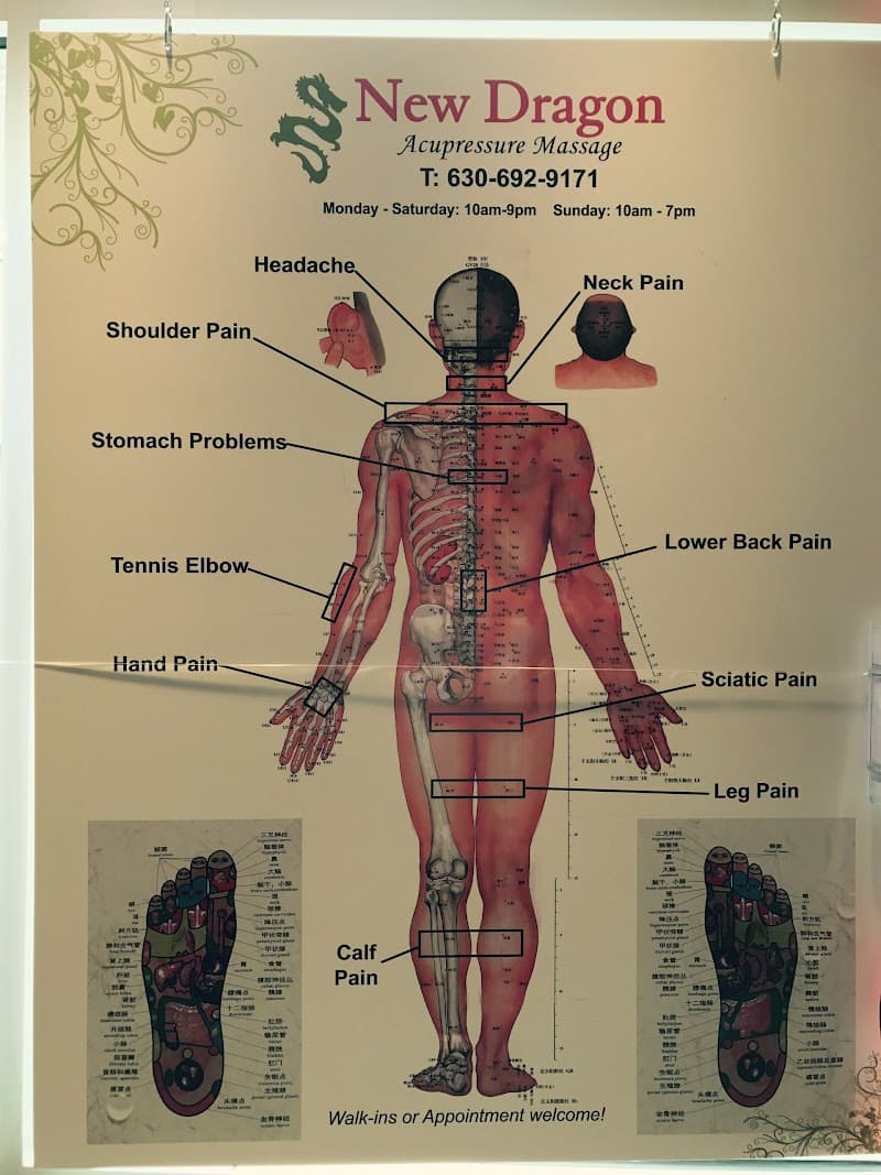 New Dragon Acupressure Aurora photo