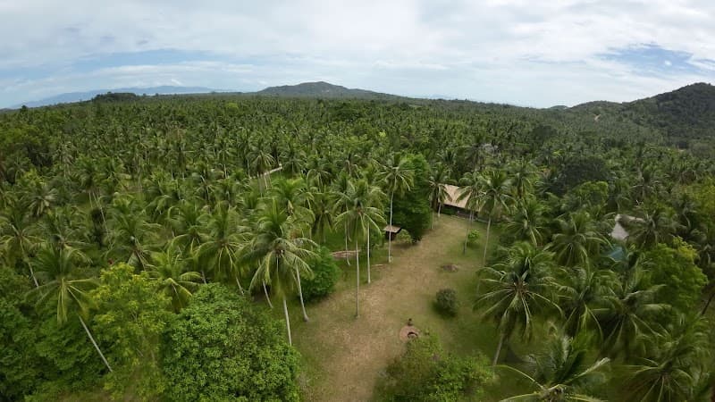 New Earth Phangan Koh Phangan photo