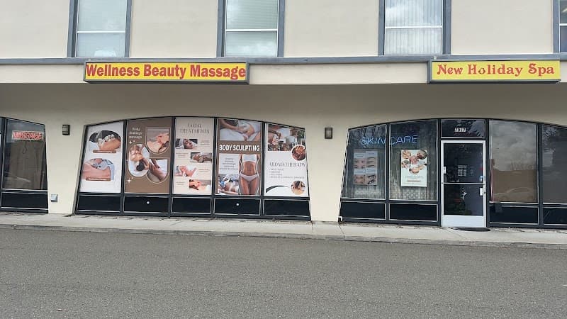 New Holiday Spa Dublin photo