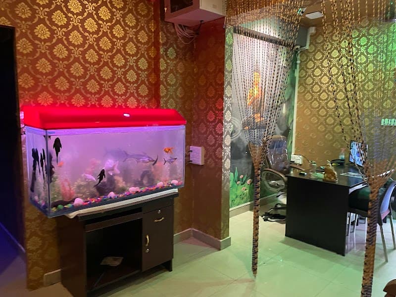 New Roots Health and Wellness Hyderabad photo