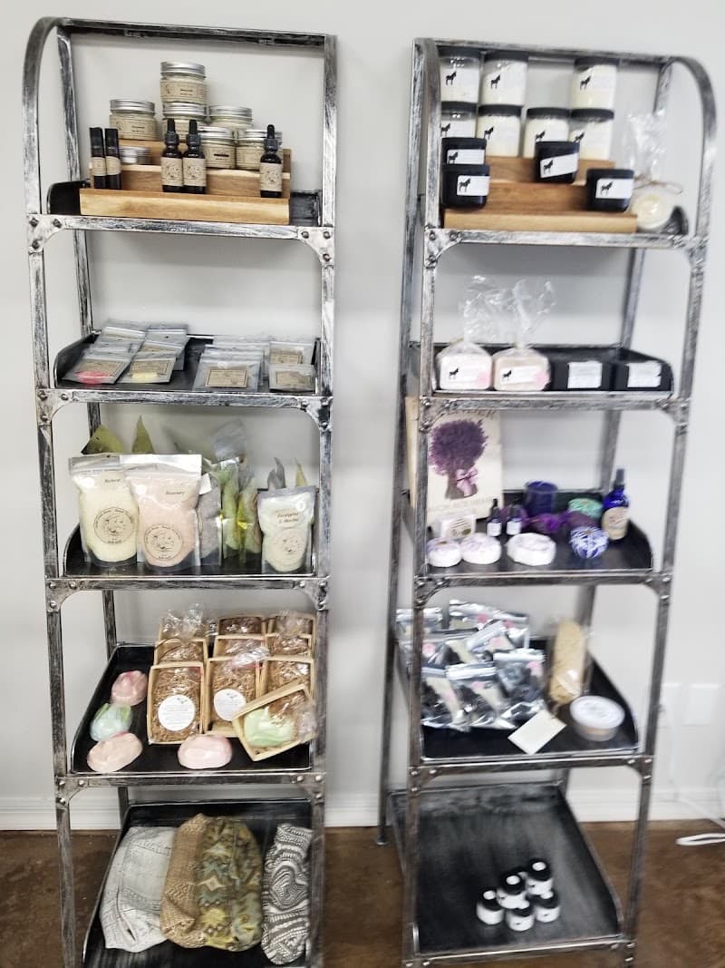 Newman Massage and Wellness Elkmont photo