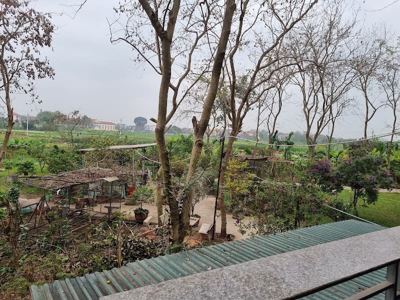 NhÀ VƯỜN ThÀNh ĐẠT Vĩnh Yên photo