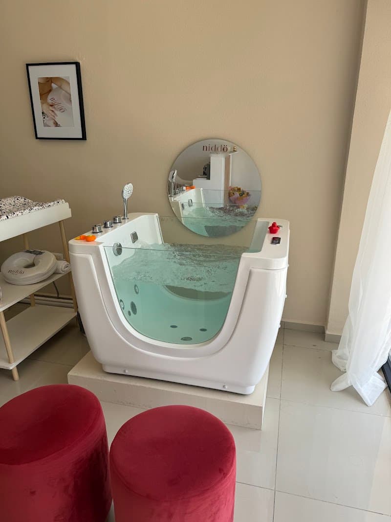 Niddo Baby Spa Mérida photo