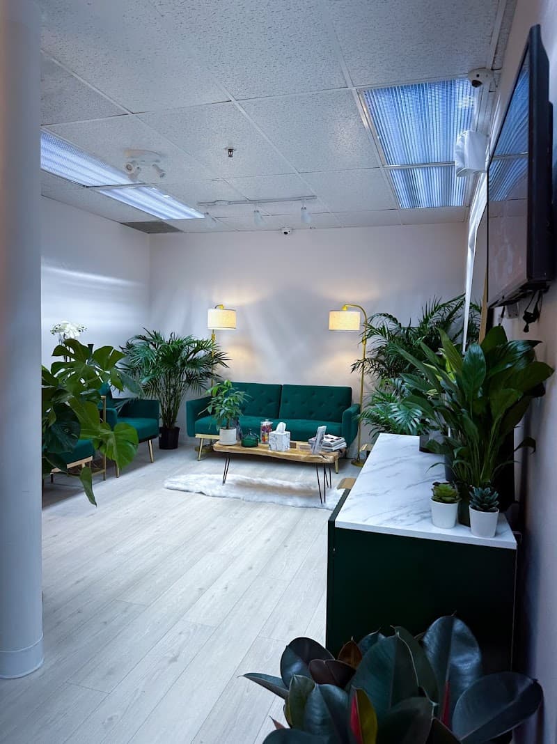Nieve spa New York photo