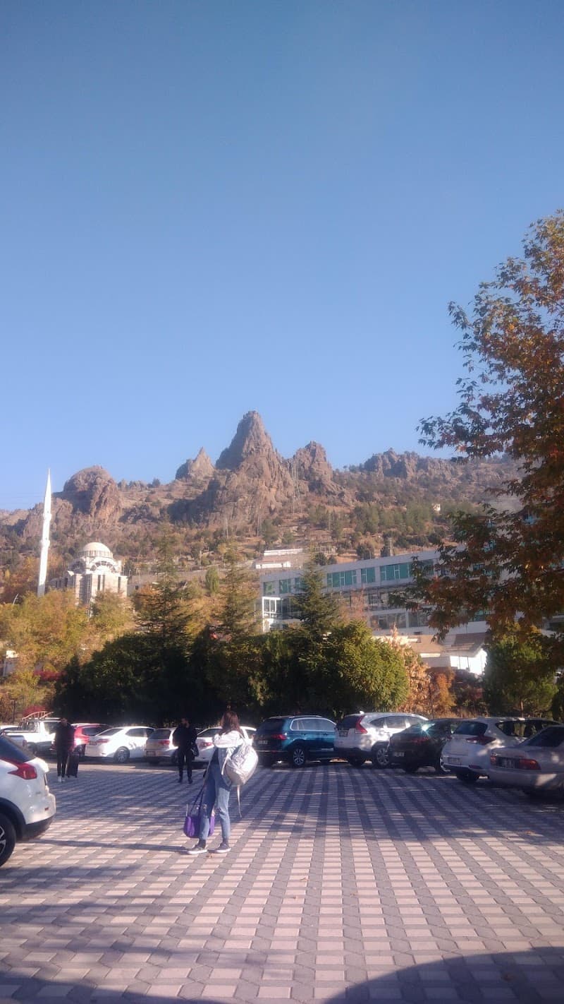 Niğde Çiftehan photo