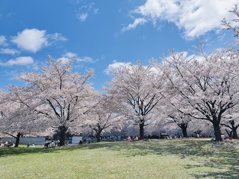 Niida Vital Hachinohe City photo