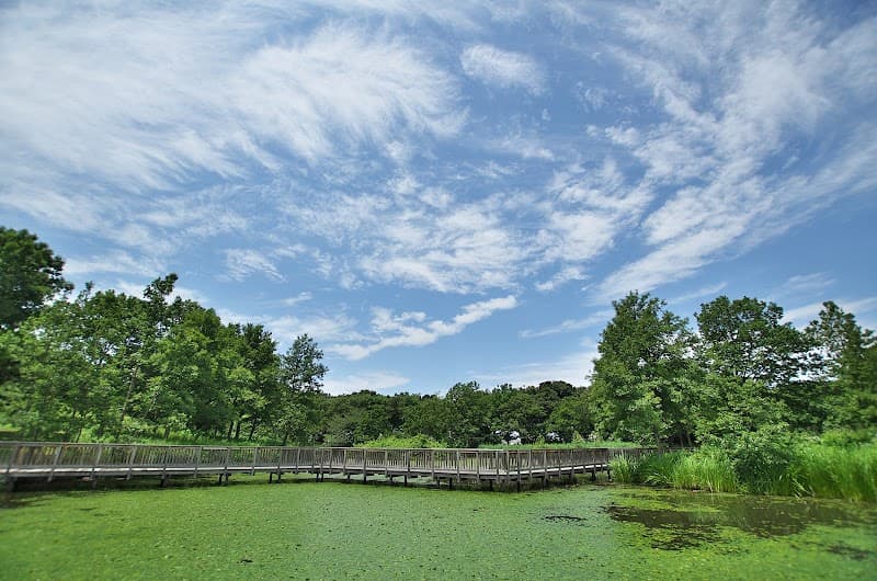 Niigata Bio Research Park Akiha Ward, Niigata City photo