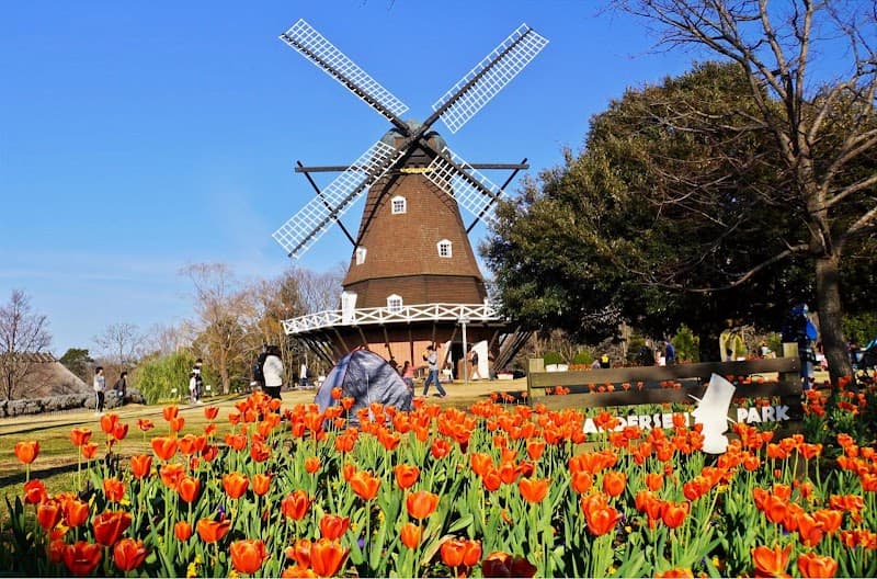 Niji no Ike (Rainbow Pond) Funabashi City photo