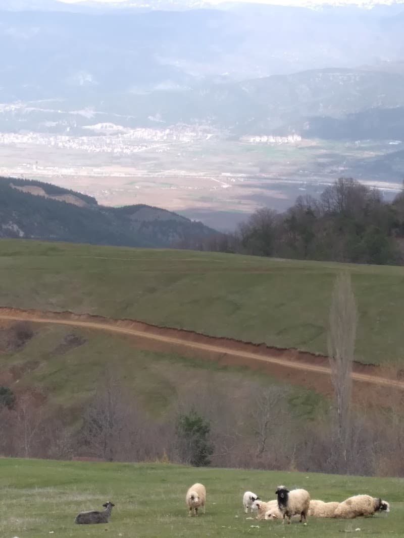 Niksar Yeşilkaya Köyü photo