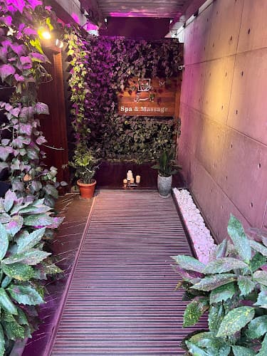 Niloofarabi Massage Tehran photo
