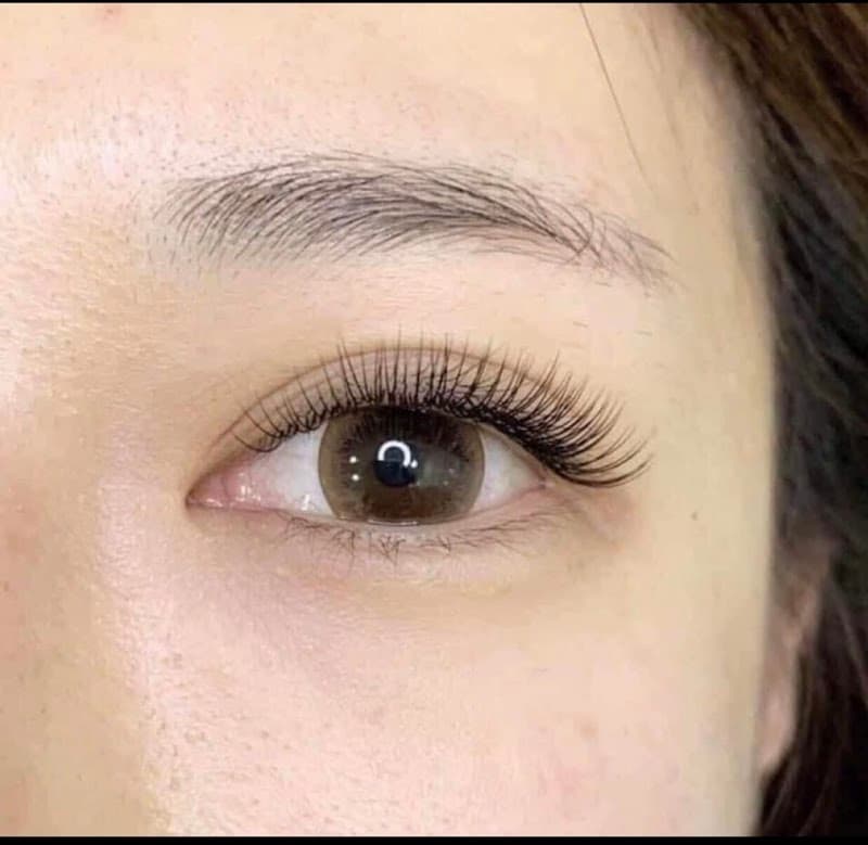 Nối mi Hânnii Quận Tân Bình photo