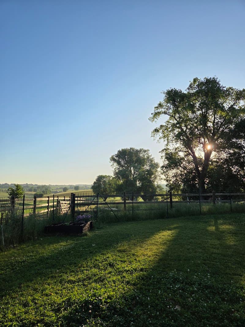 Nolwenn Taminiau - Massothérapeute Braine-le-Comte photo