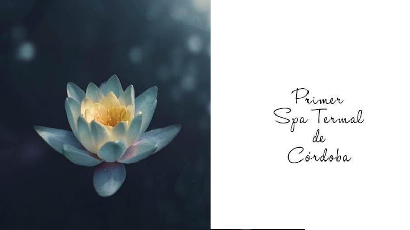 Nora Zapata Estética & Spa Córdoba photo