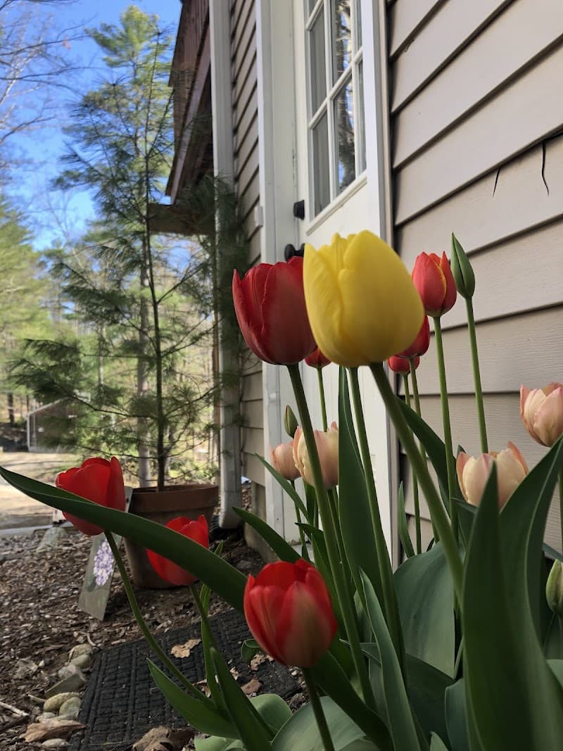 Nourished Through Nature Shapleigh photo