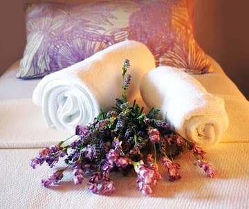 Nova Organic Wellness Spa Scottsdale photo
