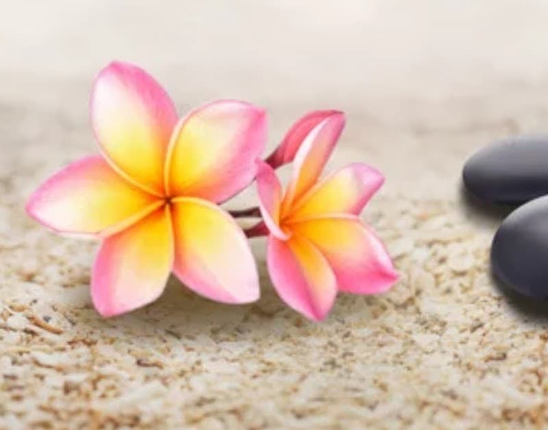 Now & Zen Spa Grand Cayman photo