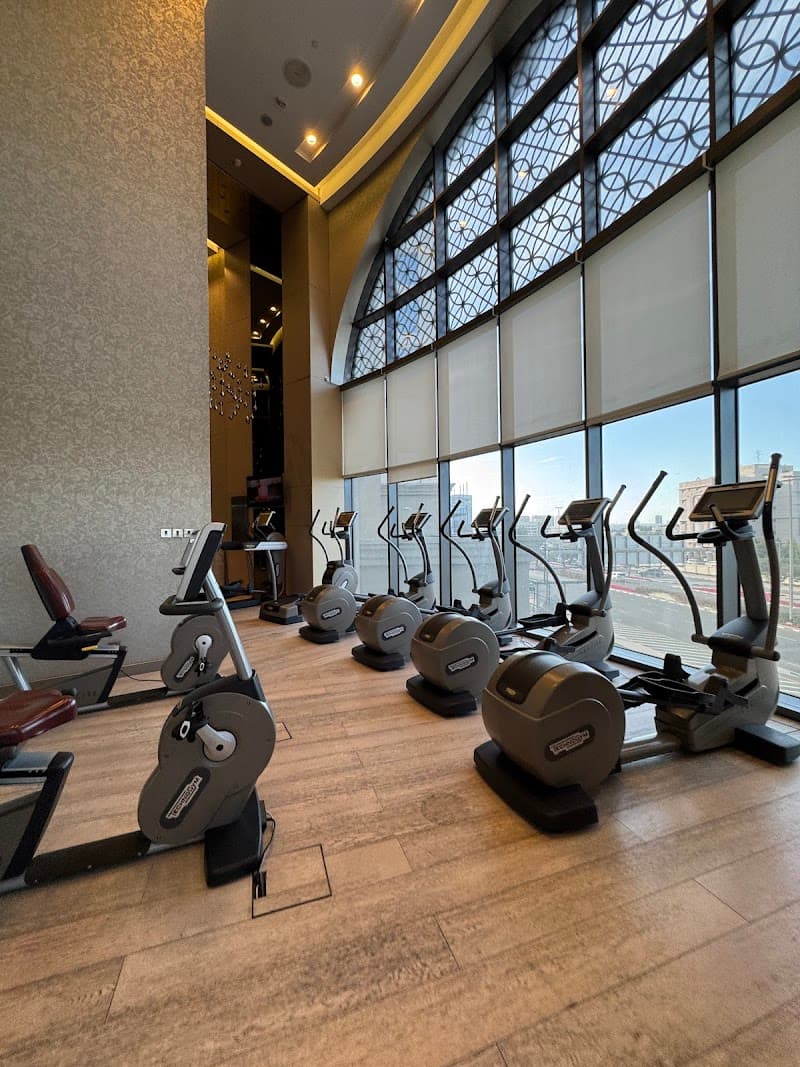 Nysa Spa Dubai photo