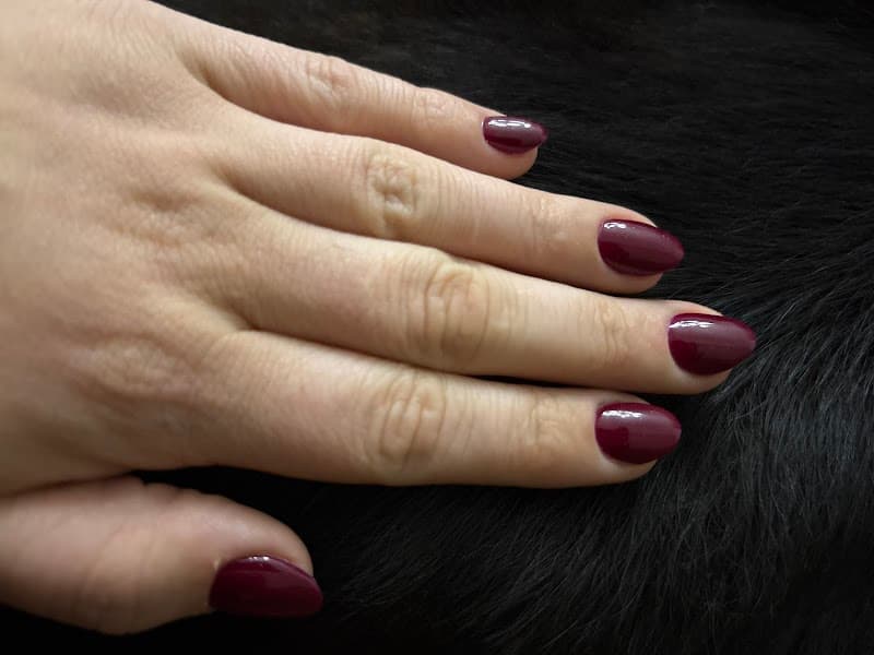 Braine-le-Comte Ô Coeur de l'Être photo