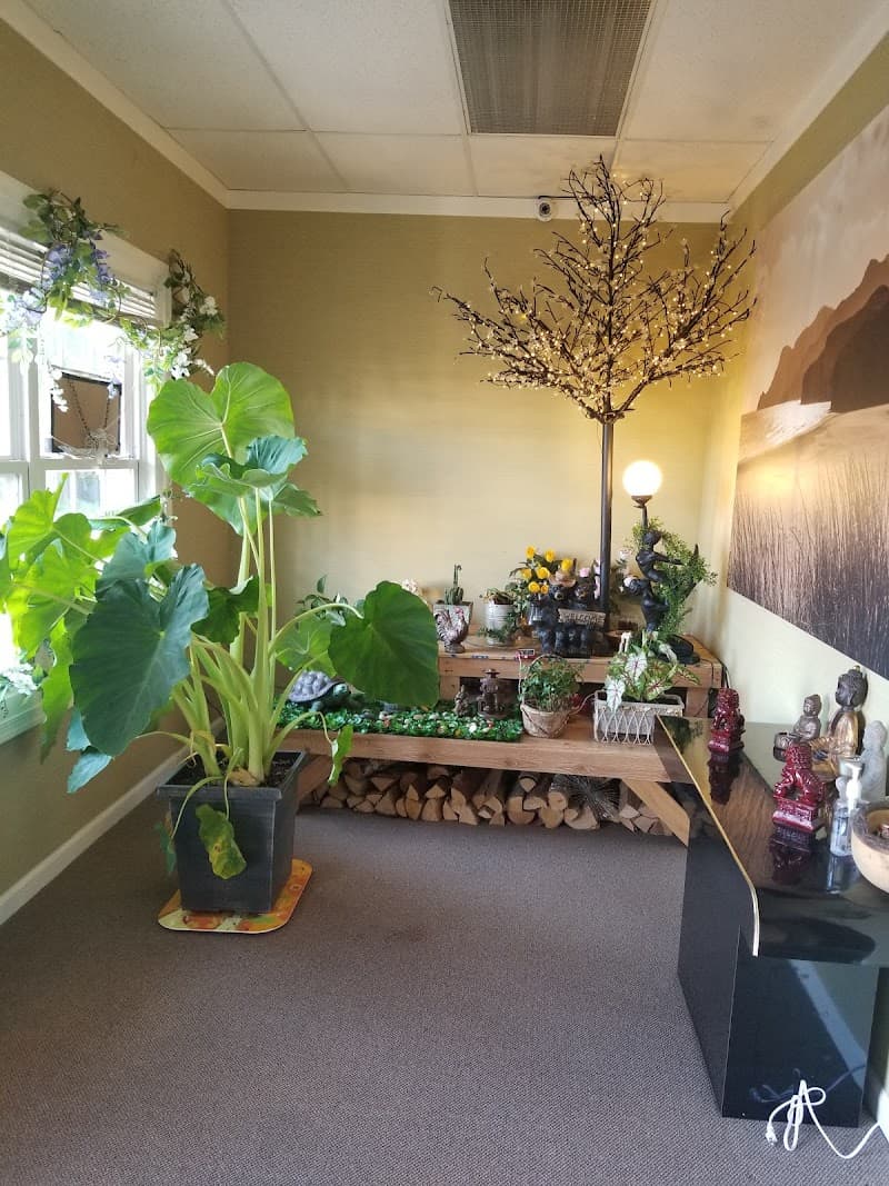 O K Spa Inc Trappe photo