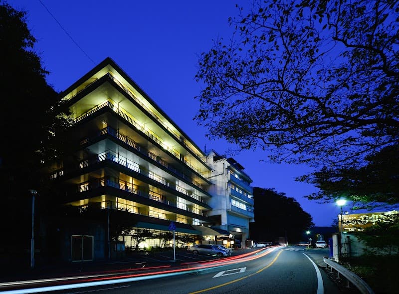 Oami Onsen Nasushiobara photo