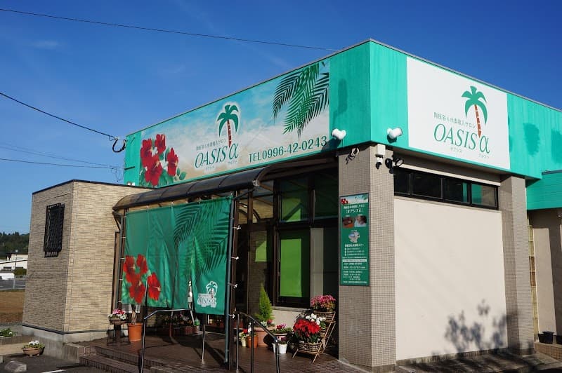 Oasis Alpha Satsumasendai City photo