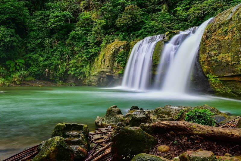 Oasis Skincare: Patricia Riddle, MD Summerville photo