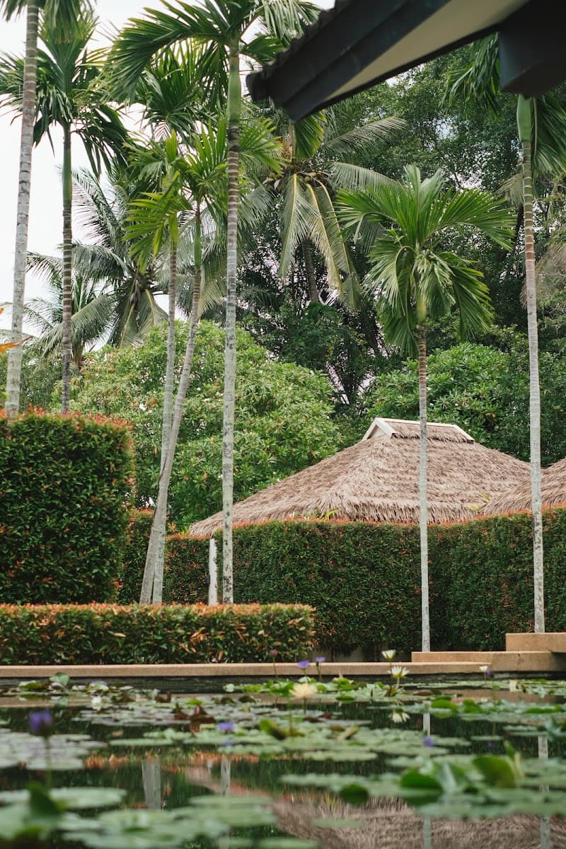 Oasis Spa (Tropical Retreat Spa, Laguna) Phuket photo