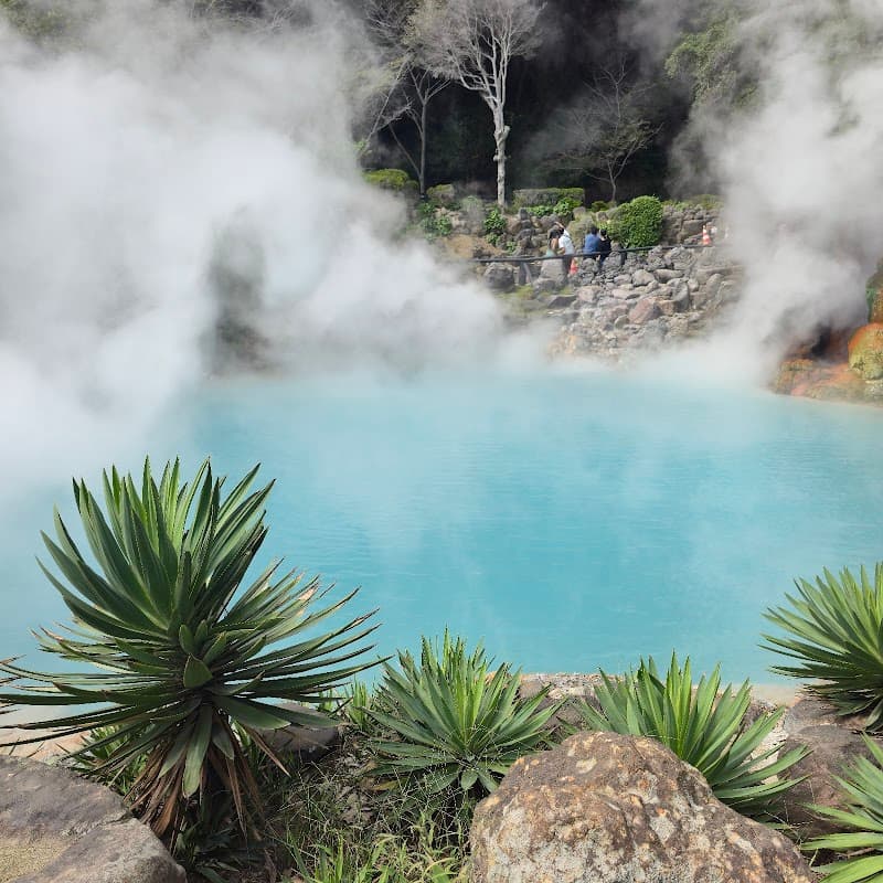 Observation Footbath Hanakusaka Beppu City photo