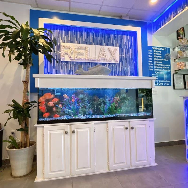 Ocean Beauty Body Spa Hempstead photo