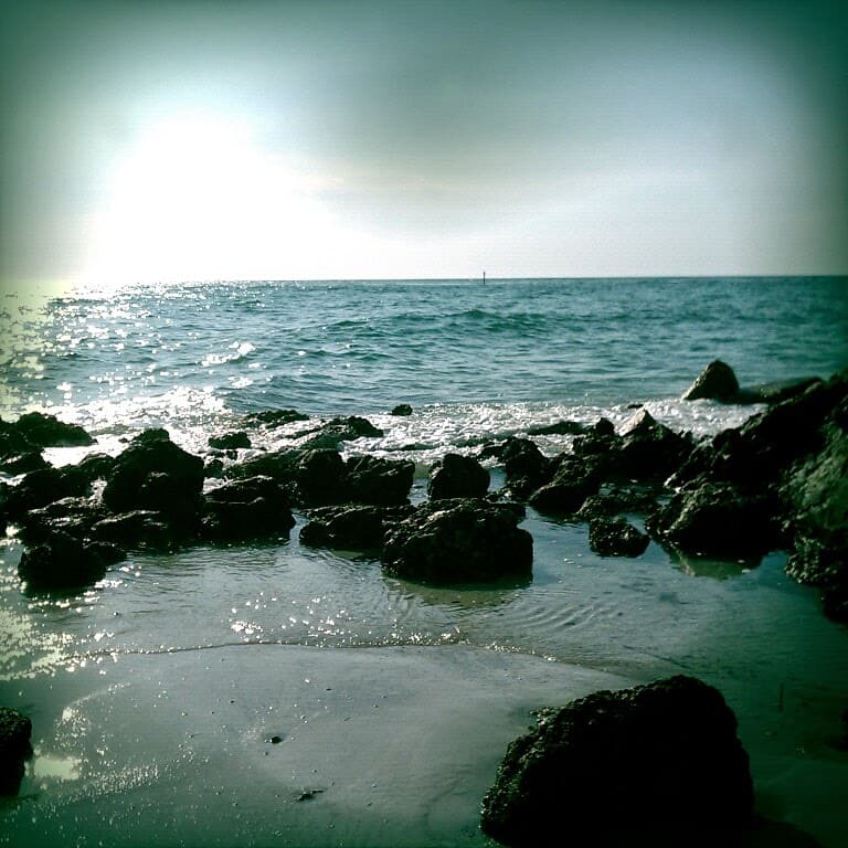 Ocean Love Ayurveda & Massage Inc. Sarasota photo