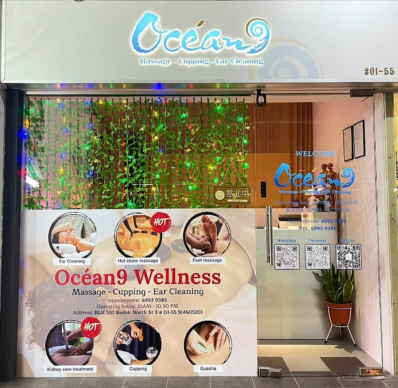 Ocean9 Wellness Singapore photo