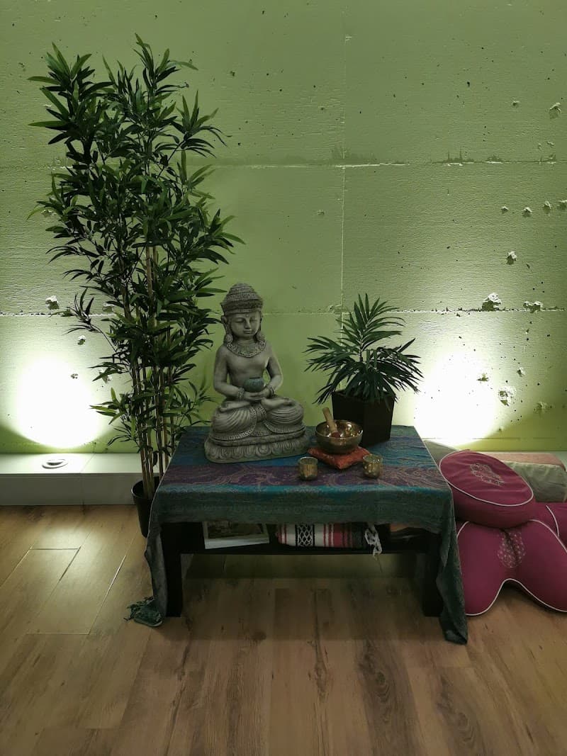 Ocentre Massotherapie et Ayurveda Rouyn-Noranda photo