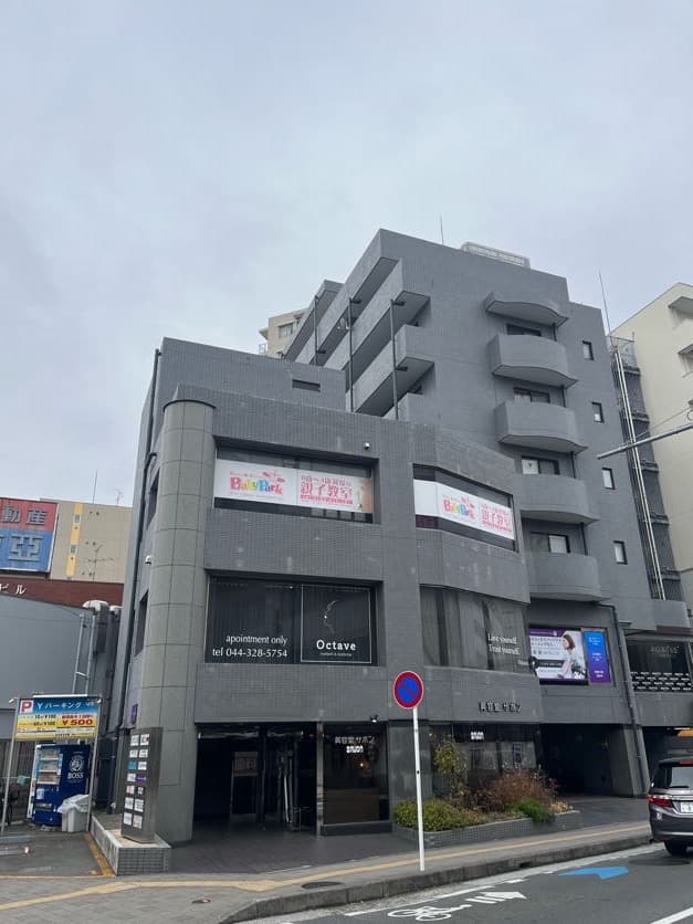 Octave Asao Ward, Kawasaki City photo