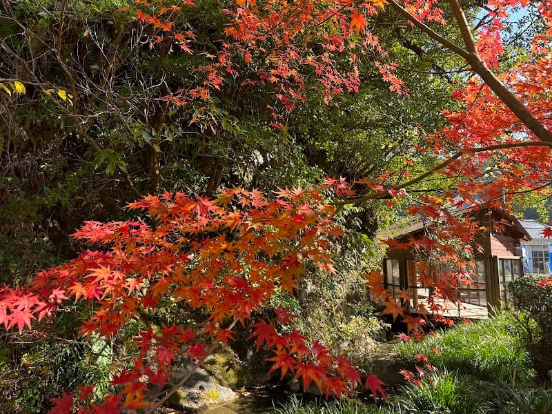 Oike no Yu Nishimorokata-gun Takahara Town photo