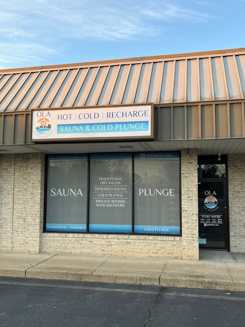 OLA - Sauna and Cold Plunge Brick photo