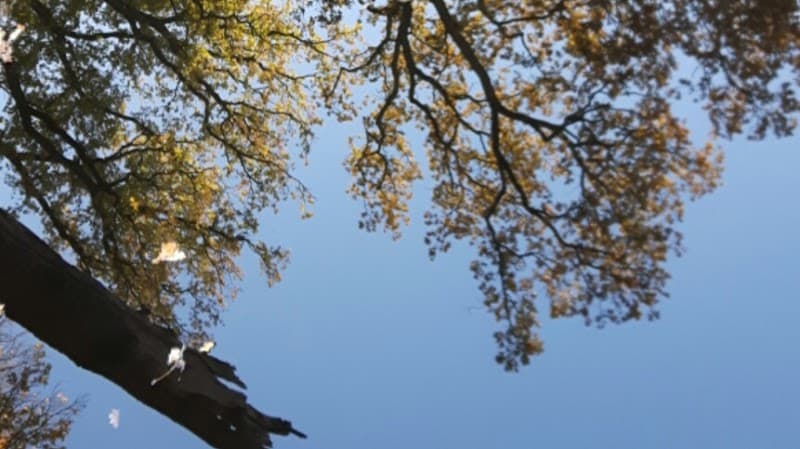 Olie voor je ziel Soest photo