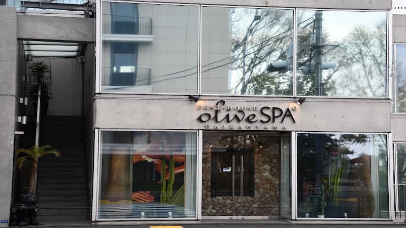 Olivespa Penthouse Tokyo photo